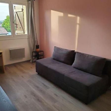 Appartement Moderne Et Equipe LʼIsle-Jourdain Kültér fotó