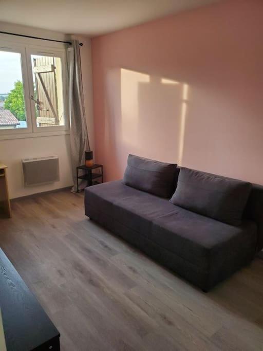 Appartement Moderne Et Equipe LʼIsle-Jourdain Kültér fotó